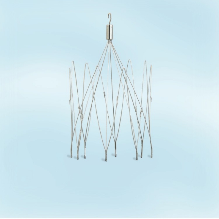 Vena Cava Filter